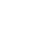 Fiat Logo